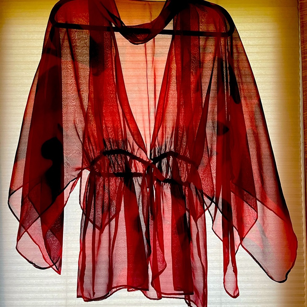Sheer & sexy top